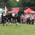Pokaz ujeżdżania