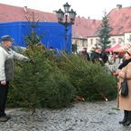 Jeszcze na długo przed rozpoczęciem - choinki szły jak świeże bułki