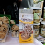 Stoiska producentów boczniaków z Wielkopolski